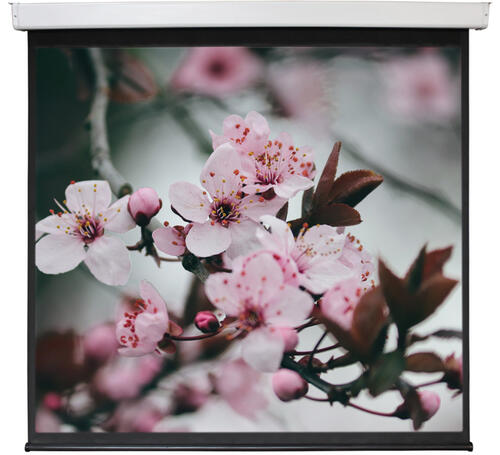 Купить 112" Экран для проектора Digis Electra-F DSEF-1106  1626381. Характеристики, отзывы и цены в Донецке