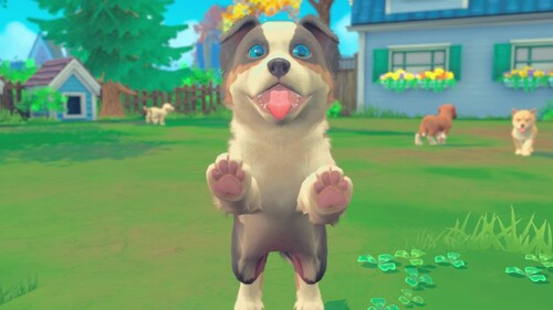Купить Игра My Universe - Puppies &amp  5621914. Характеристики, отзывы и цены в Донецке