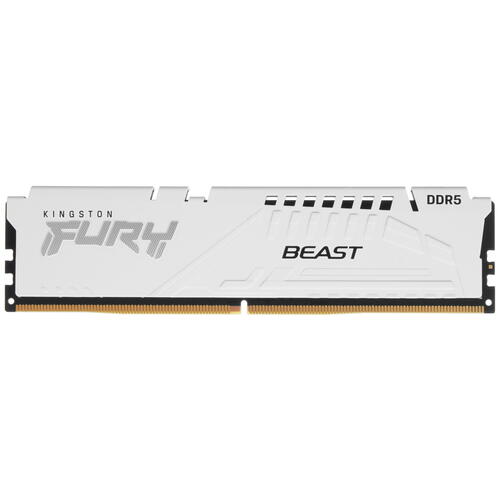 Купить Оперативная память Kingston FURY Beast White [KF560C40BW-32] 32 ГБ  5406649. Характеристики, отзывы и цены в Донецке