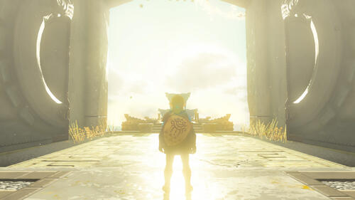 Купить Игра The Legend of Zelda: Tears of the Kingdom (Switch)  5415177. Характеристики, отзывы и цены в Донецке