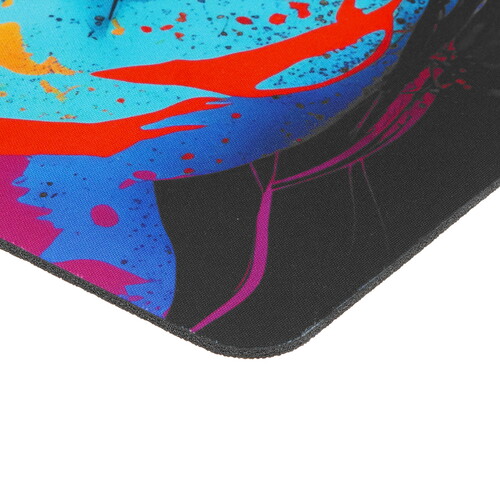 Купить Коврик Cactus Color Paint (M) разноцветный  9289058. Характеристики, отзывы и цены в Донецке