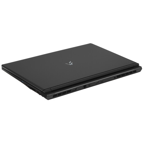 Купить 17.3" Ноутбук ARDOR Gaming RAGE R17-I7ND405 черный  9083314. Характеристики, отзывы и цены в Донецке