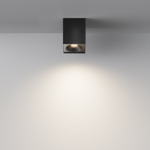 Купить Светильник потолочный Technical C030CL-01B черный/черный  9143192. Характеристики, отзывы и цены в Донецке