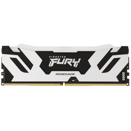 Купить Оперативная память Kingston FURY Renegade Silver RGB [KF564C32RSA-24] 24 ГБ  5436206. Характеристики, отзывы и цены в Донецке