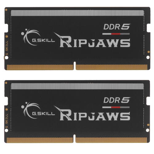 Купить Оперативная память SODIMM G.Skill Ripjaws [F5-4800S4039A32GX2-RS] 64 ГБ  5087420. Характеристики, отзывы и цены в Донецке