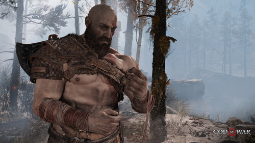 Купить Игра God of War (Версия для СНГ  5484309. Характеристики, отзывы и цены в Донецке