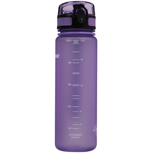 Купить Фильтр-бутылка Аквафор Сити 525494 фиолетовый  9182652. Характеристики, отзывы и цены в Донецке