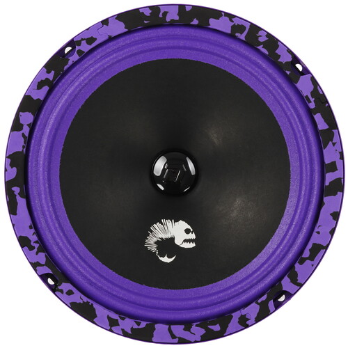 Купить Среднечастотная акустическая система DL Audio PIRANHA 200 V.2  5492942. Характеристики, отзывы и цены в Донецке