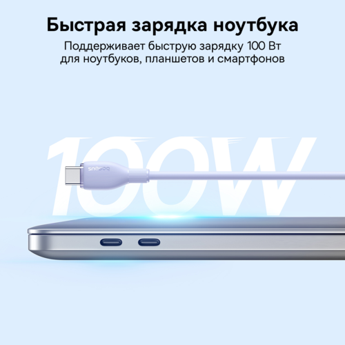Купить Кабель круглый Baseus USB Type-C - USB Type-C фиолетовый 1.2 м  5495754. Характеристики, отзывы и цены в Донецке