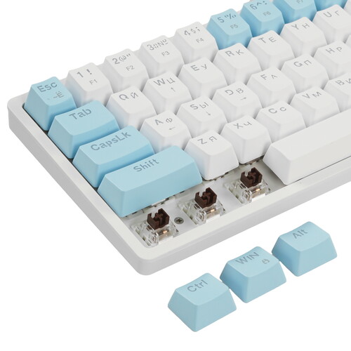 Купить Клавиатура  проводная Defender Amox GK-585  9230449. Характеристики, отзывы и цены в Донецке