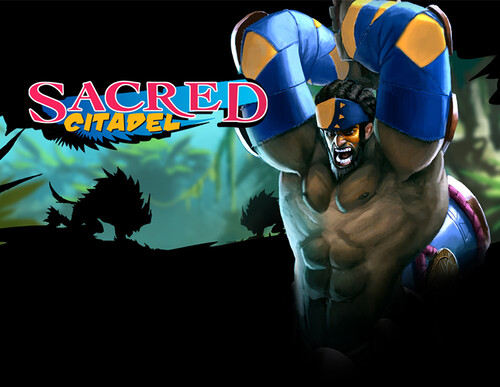 Купить Игра Sacred Citadel (Steam)  5618246. Характеристики, отзывы и цены в Донецке