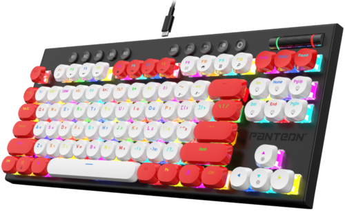 Купить Клавиатура проводная Panteon T20 PRO RS HS D [PANTEON T20 PRORSHSD (52)]  5483701. Характеристики, отзывы и цены в Донецке
