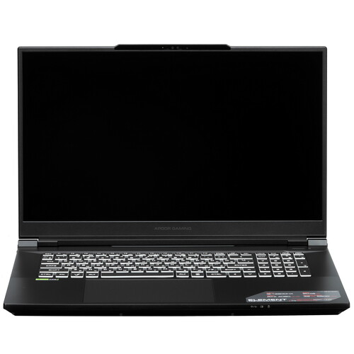 Купить 17.3" Ноутбук ARDOR Gaming ELEMENT L17-I9ND400 черный  9083819. Характеристики, отзывы и цены в Донецке