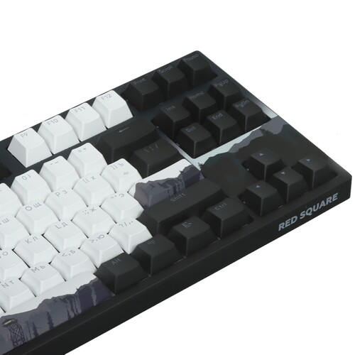 Купить Клавиатура  проводная Red Square Keyrox TKL Classic Noir  5445810. Характеристики, отзывы и цены в Донецке