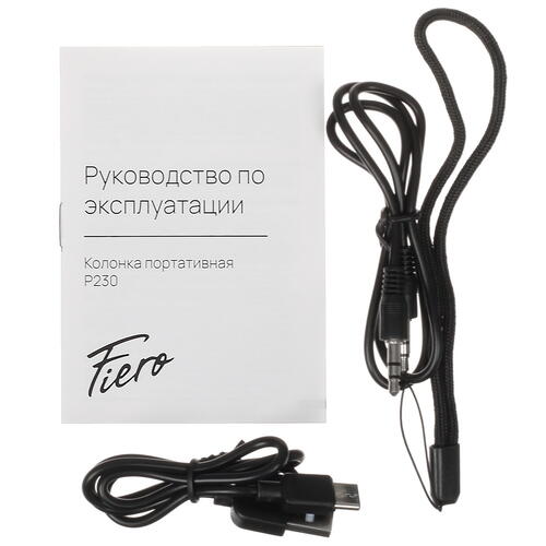 Купить Портативная колонка Fiero BIG Squad P230, черный  5416940. Характеристики, отзывы и цены в Донецке