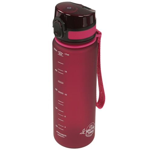 Купить Фильтр-бутылка Аквафор Сити 519742 бордовый  9182654. Характеристики, отзывы и цены в Донецке