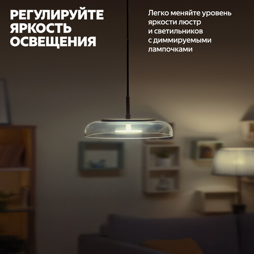 Купить Умный выключатель Яндекс с регулировкой яркости (диммер)  5619323. Характеристики, отзывы и цены в Донецке