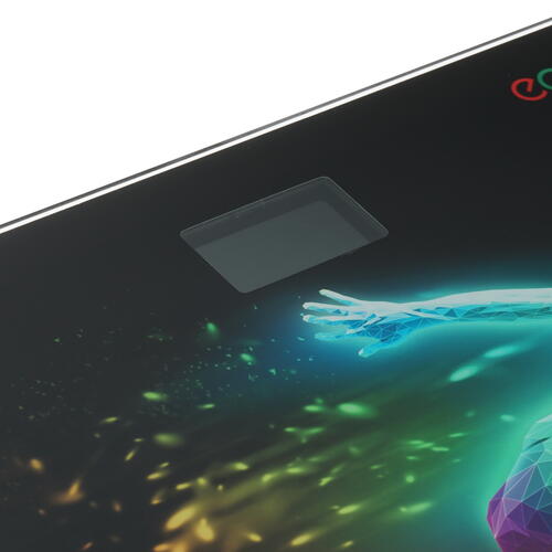 Купить Весы Econ ECO-BS008 черный  8158753. Характеристики, отзывы и цены в Донецке