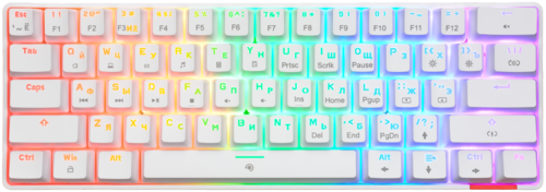 Купить Клавиатура проводная Panteon T3 CS HS RB [PANTEON T3 CS HS RB (30)]  5483704. Характеристики, отзывы и цены в Донецке
