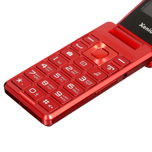 Купить Сотовый телефон Xenium X600 красный  9114195. Характеристики, отзывы и цены в Донецке