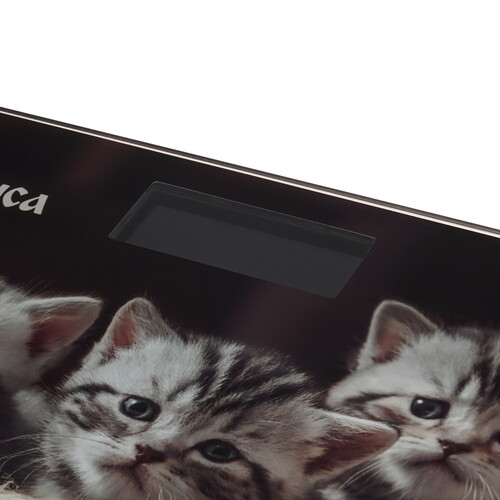 Купить Весы Василиса ВА-4016 разноцветный  9908392. Характеристики, отзывы и цены в Донецке