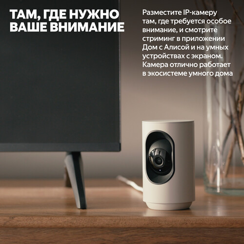 Купить IP-камера Яндекс YNDX-00582GRY  5628947. Характеристики, отзывы и цены в Донецке