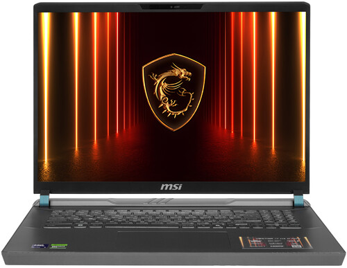 Купить 17" Ноутбук MSI Vector 17 HX AI A2XWIG серый  5630103. Характеристики, отзывы и цены в Донецке