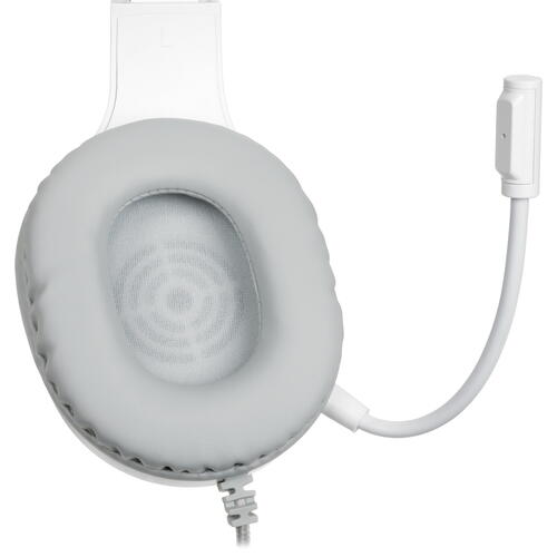 Купить Проводные наушники DEXP Anger белый 2021  4892234. Характеристики, отзывы и цены в Донецке