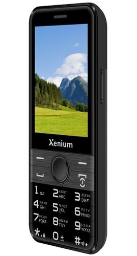 Купить Сотовый телефон Xenium X800 черный/серый  5628264. Характеристики, отзывы и цены в Донецке
