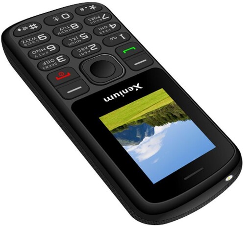 Купить Сотовый телефон Xenium X160 черный  9284571. Характеристики, отзывы и цены в Донецке