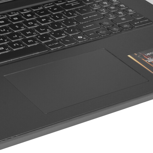 Купить 17" Ноутбук MSI Vector 17 HX AI A2XWJG черный  5613295. Характеристики, отзывы и цены в Донецке
