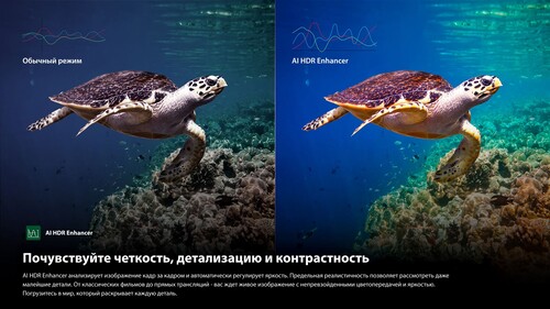 Купить 65" (164 см) Телевизор Toshiba 65Z670RE черный  9308848. Характеристики, отзывы и цены в Донецке