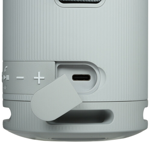 Купить Портативная колонка Sony SRS-XB100, серый  5605590. Характеристики, отзывы и цены в Донецке