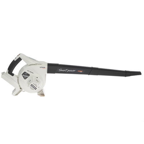 Купить Воздуходувка-пылесос Daewoo DABL 6040Li 40V  1270868. Характеристики, отзывы и цены в Донецке