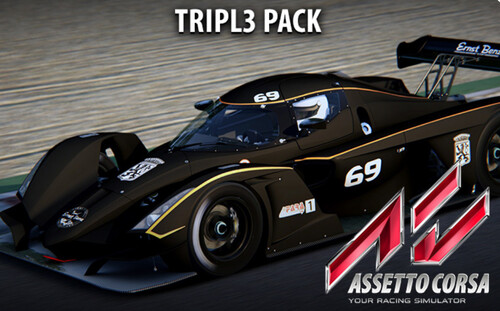 Купить Дополнение для игры Assetto Corsa - Tripl3 Pack (Steam)  5624984. Характеристики, отзывы и цены в Донецке