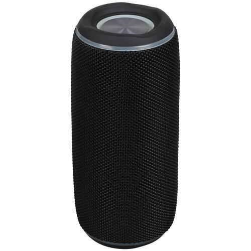 Купить Портативная колонка Aceline APS200, черный  5401920. Характеристики, отзывы и цены в Донецке