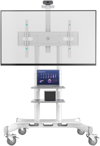 Купить Стойка с кронштейном ONKRON TS1881w  1676614. Характеристики, отзывы и цены в Донецке