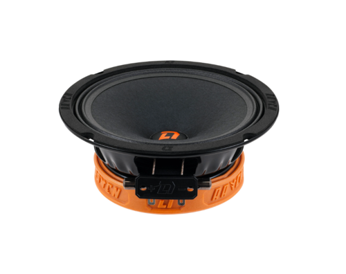 Купить Среднечастотная акустическая система DL Audio Raven 165 V.2  5471473. Характеристики, отзывы и цены в Донецке