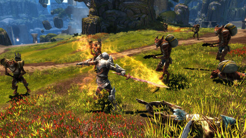 Купить Игра Kingdoms of Amalur: Re-Reckoning (Steam)  5484508. Характеристики, отзывы и цены в Донецке
