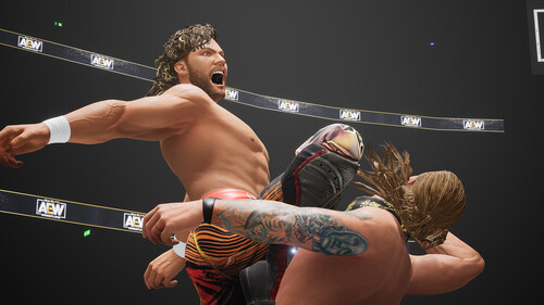 Купить Игра AEW: Fight Forever Elite Edition (Steam)  5484420. Характеристики, отзывы и цены в Донецке