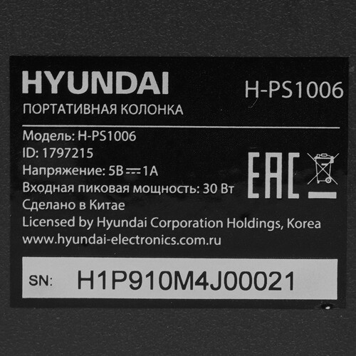Купить Портативная колонка Hyundai H-PS1006, черный  5423616. Характеристики, отзывы и цены в Донецке