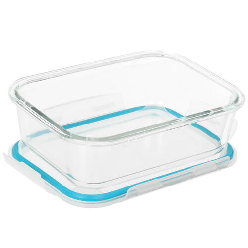 Купить Контейнер пищевой Aceline P1040  4747299. Характеристики, отзывы и цены в Донецке