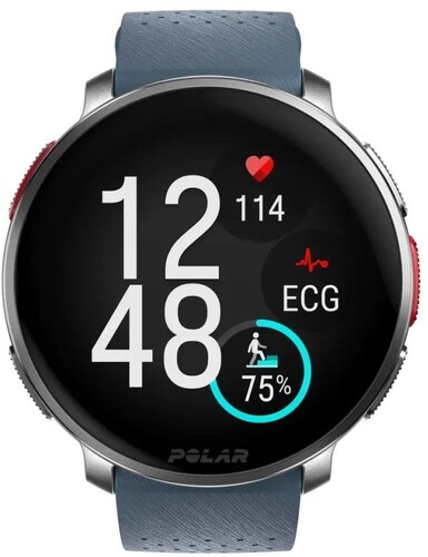 Купить Спортивные часы Polar Vantage V3  5483147. Характеристики, отзывы и цены в Донецке