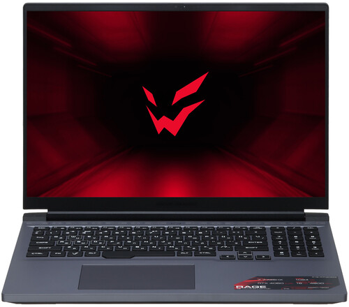 Купить 16" Ноутбук ARDOR Gaming RAGE R16-R7ND403 серый  9093319. Характеристики, отзывы и цены в Донецке