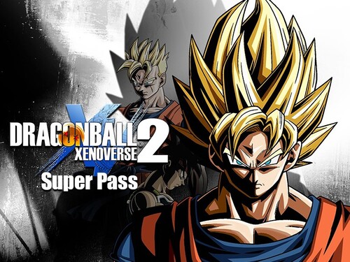 Купить Дополнение для игры Dragon Ball Xenoverse 2 - Super Pass (Steam)  5484140. Характеристики, отзывы и цены в Донецке