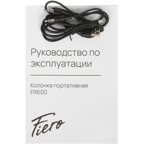 Купить Портативная колонка Fiero Dream FR600, черный  5404668. Характеристики, отзывы и цены в Донецке