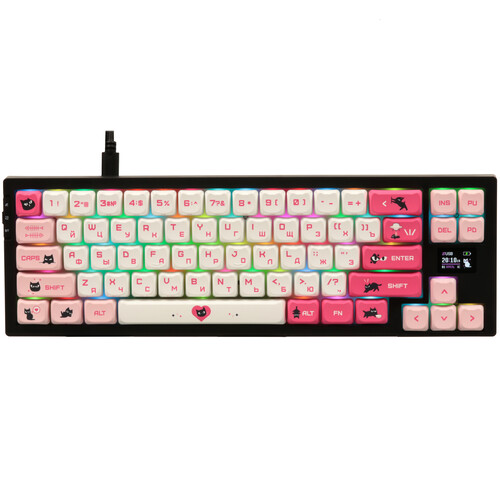 Купить Клавиатура проводная + беспроводная ARDOR GAMING Salem  9171295. Характеристики, отзывы и цены в Донецке