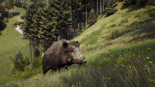 Купить Игра Way of the Hunter Elite Edition (Steam)  5484584. Характеристики, отзывы и цены в Донецке