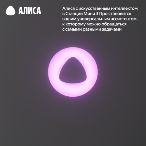 Купить Умная колонка Яндекс Станция Мини 3 Про черный  5632411. Характеристики, отзывы и цены в Донецке