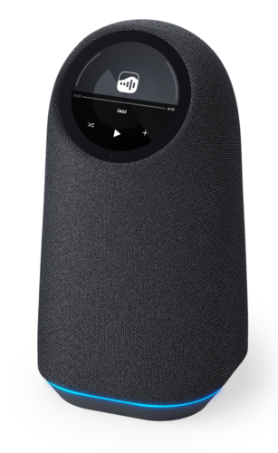 Купить Умная колонка VK Капсула Про черный  5496551. Характеристики, отзывы и цены в Донецке